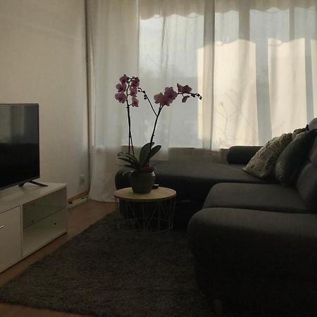 Bel Appartement Near Bale Mulhouse Airport Saint-Louis  Exterior foto