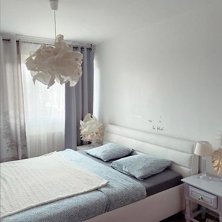 Bel Appartement Near Bale Mulhouse Airport Saint-Louis  Exterior foto