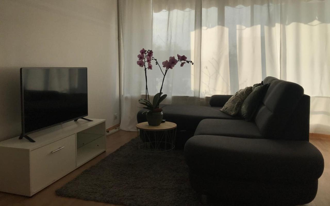 Bel Appartement Near Bale Mulhouse Airport Saint-Louis  Exterior foto