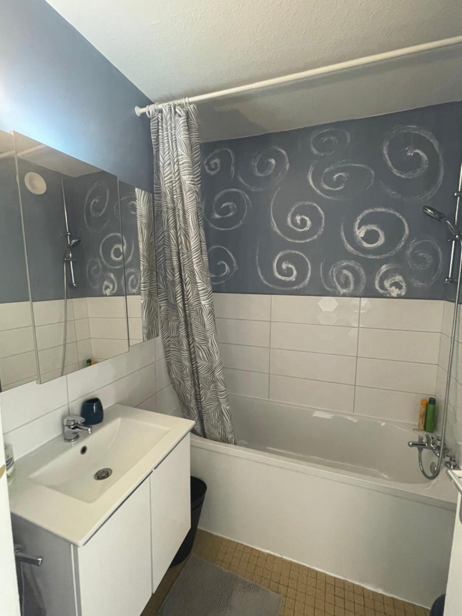 Bel Appartement Near Bale Mulhouse Airport Saint-Louis  Exterior foto