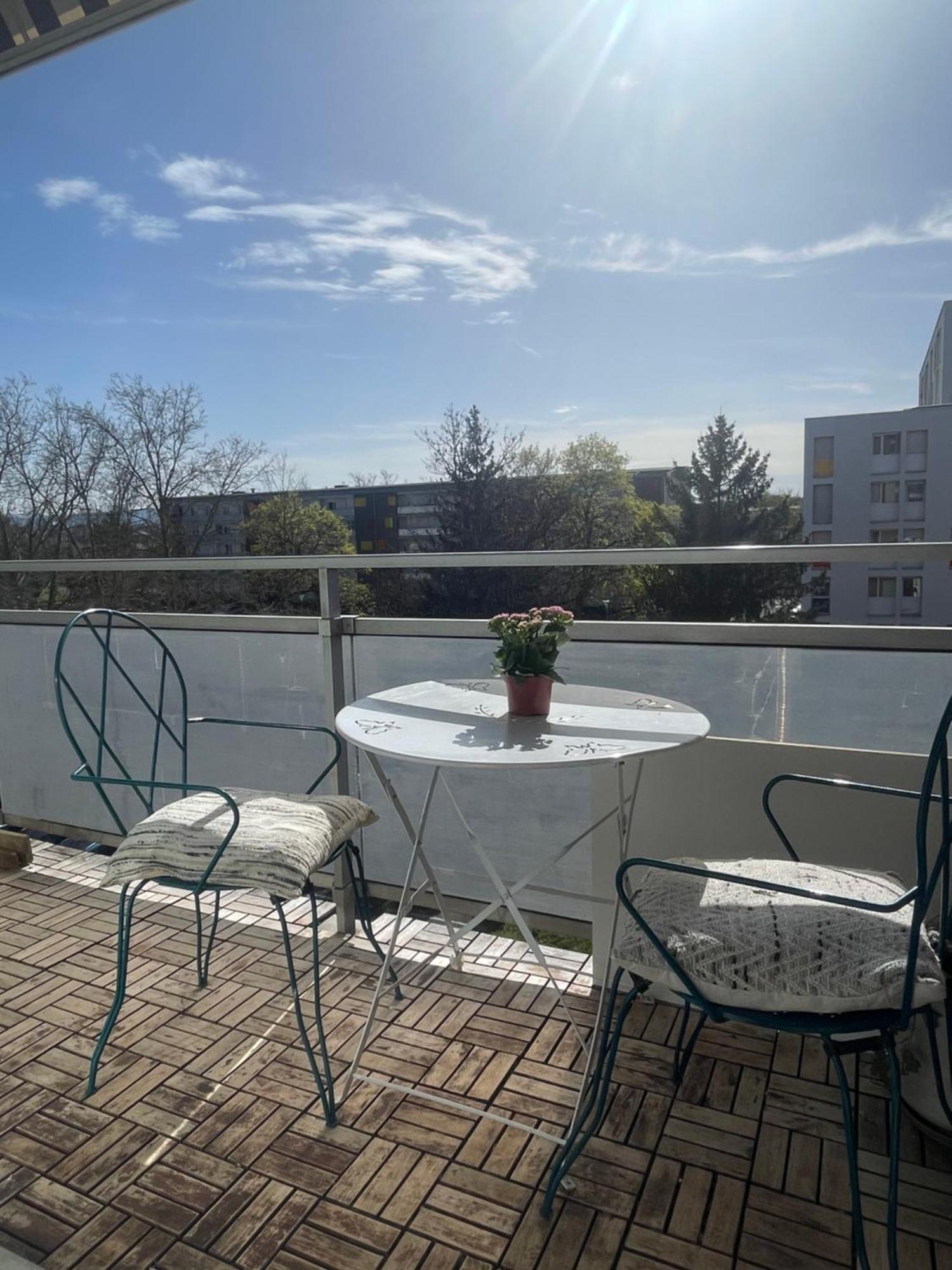 Bel Appartement Near Bale Mulhouse Airport Saint-Louis  Exterior foto