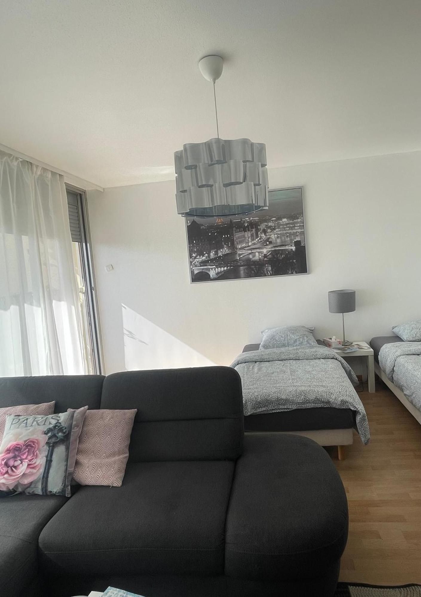 Bel Appartement Near Bale Mulhouse Airport Saint-Louis  Exterior foto