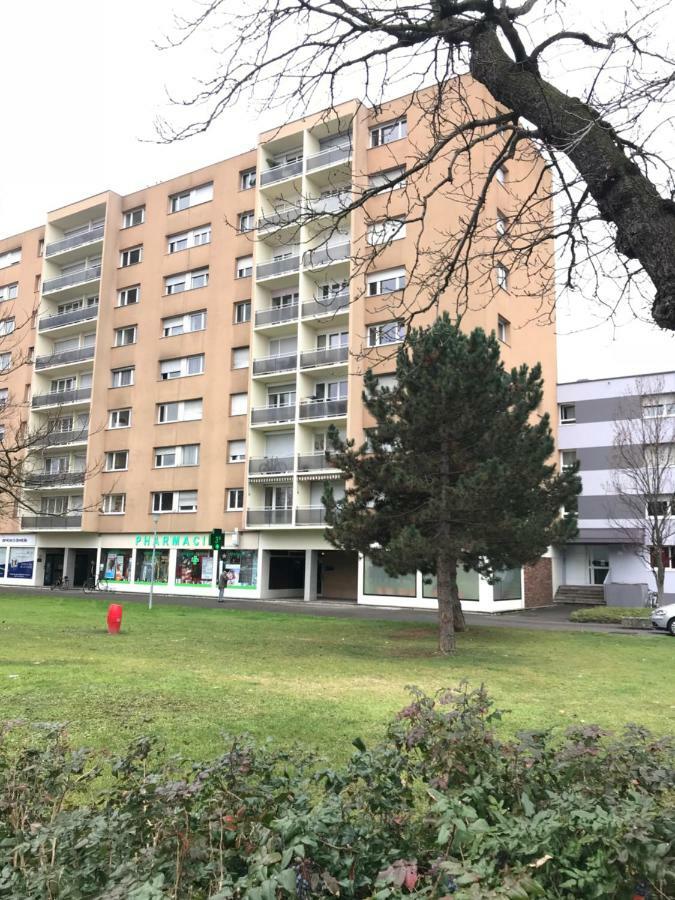 Bel Appartement Near Bale Mulhouse Airport Saint-Louis  Exterior foto