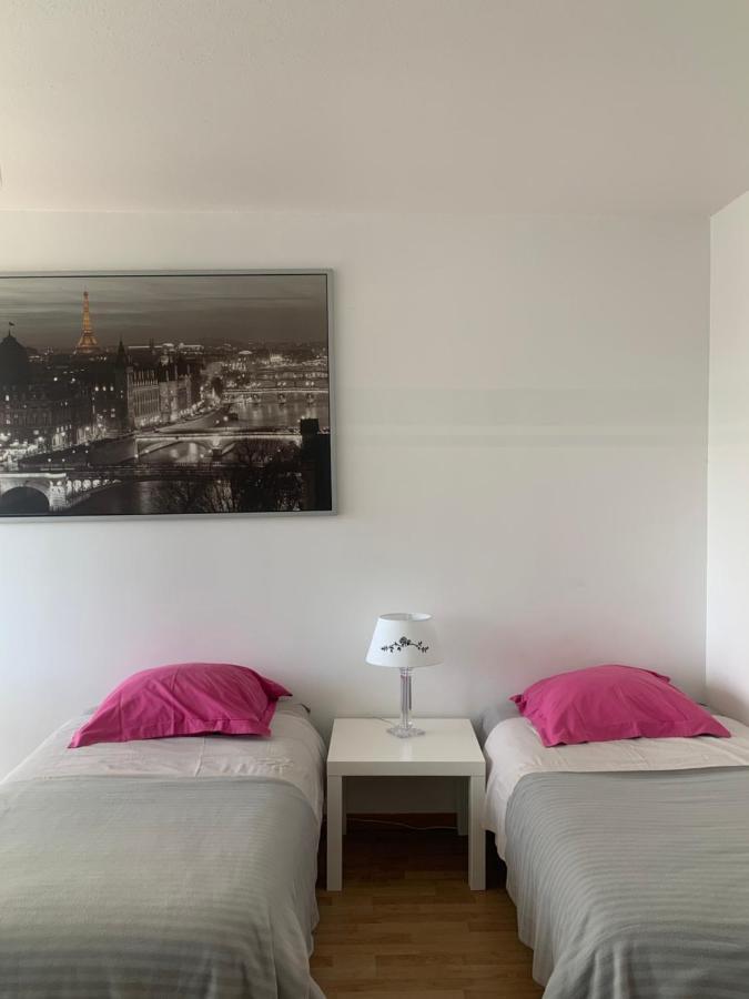Bel Appartement Near Bale Mulhouse Airport Saint-Louis  Exterior foto